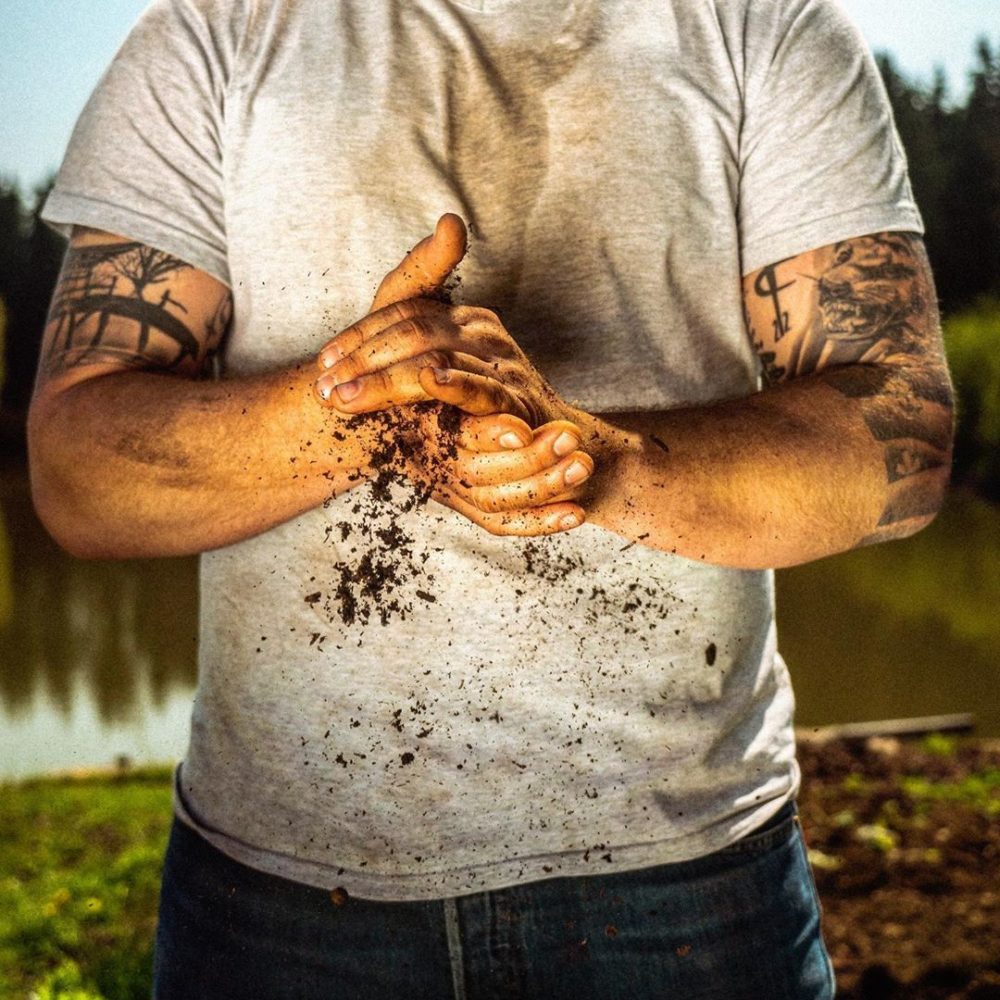 Hornbach 2